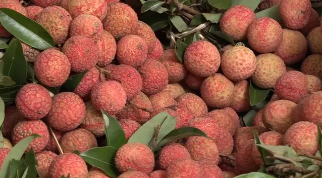 Vietnamese lychee sold at Singapore's supermarket chain