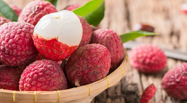 Vietnamese seedless lychees now available in UK market