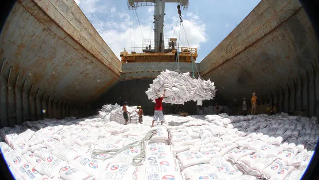 Vietnam's rice export prices highest in the world