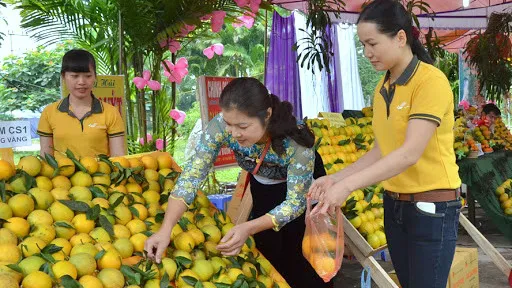 Patent issue increases by nearly 60% in five months