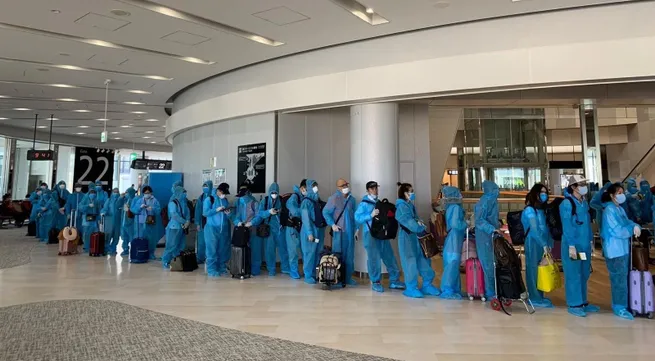 Over 340 Vietnamese citizens return home safely from Japan