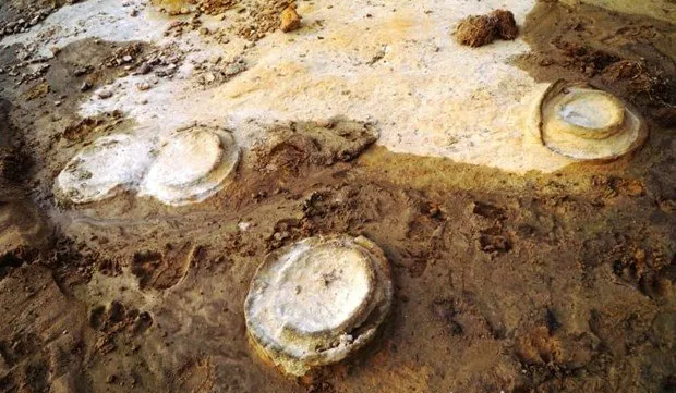 200-million-year-old mollusc fossils found in Gia Lai province
