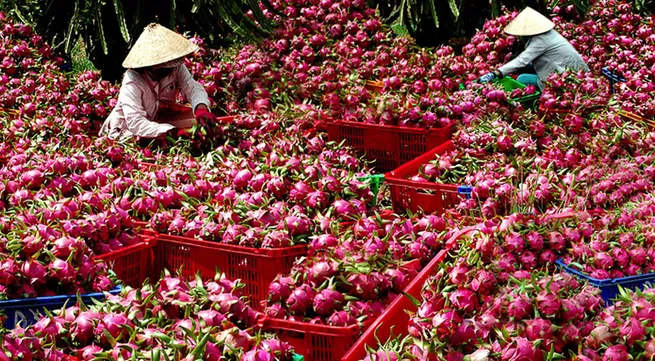 Fruits export declines in first four months