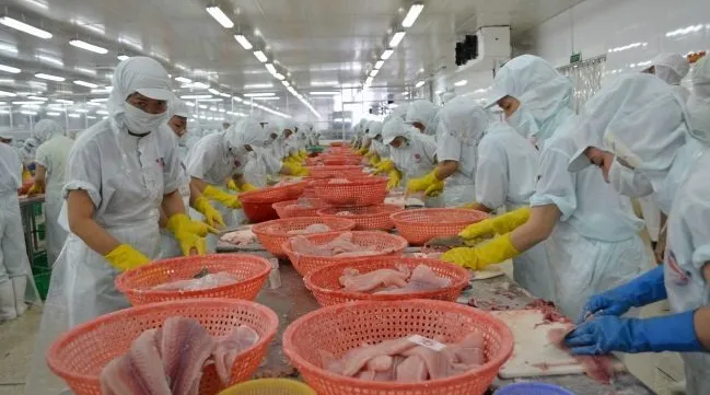 Vietnam’s seafood exports down 10% due to coronavirus impact