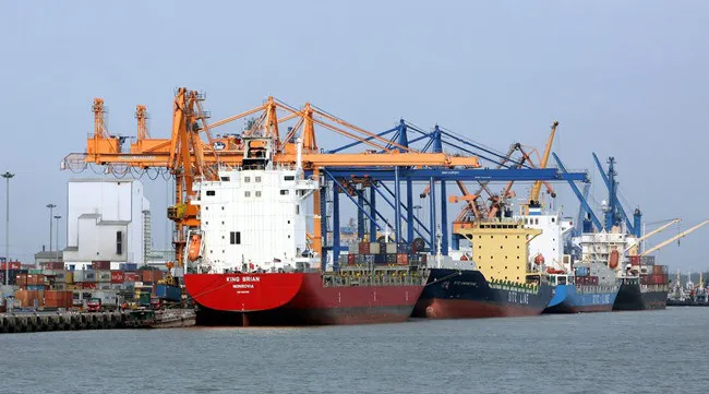 Vietnamese exporters, authorities seek to navigate low global demand