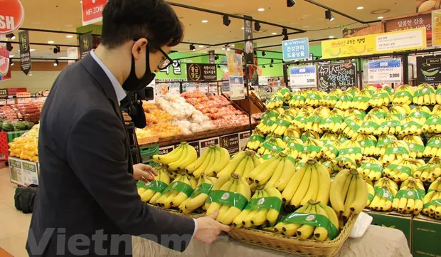 Fruit, vegetable export picks up despite COVID-19