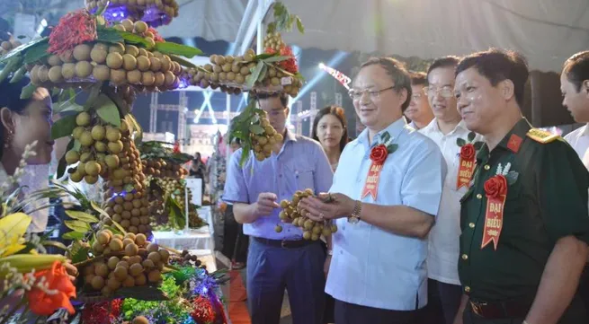 Hung Yen Longan Festival 2020 opens