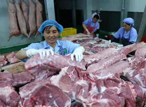 Pig imports push domestic pork prices down