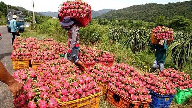 Sustainability the goal for agricultural goods