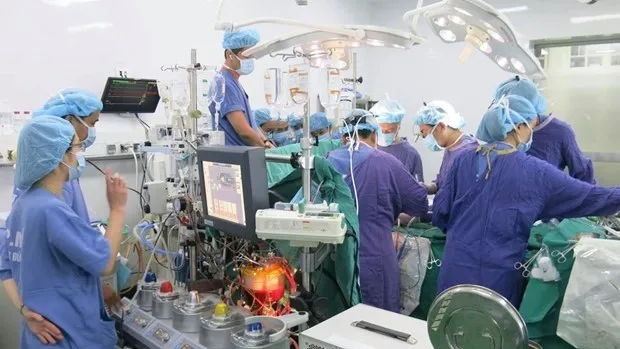 Record number of organ transplants performed