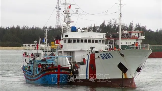 VN adopts EU recommendations to combat IUU fishing
