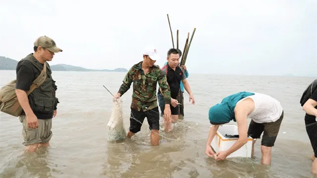 Quảng Ninh to promote green growth