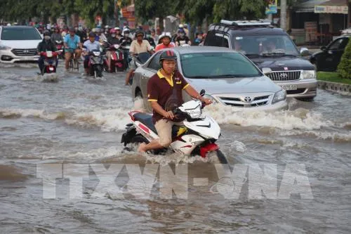 Flood prevention projects need to be reworked: experts