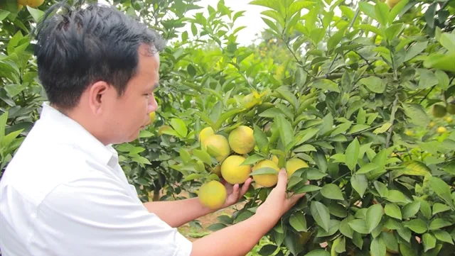 Bắc Giang agricultural products showcased in capital