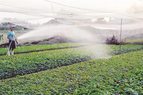 City considers new vocational-training direction for rural workers