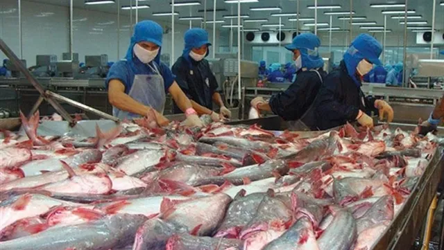 Seafood firm Vĩnh Hoàn to pay dividend in shares