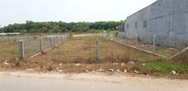 Hải Phòng to review land violations