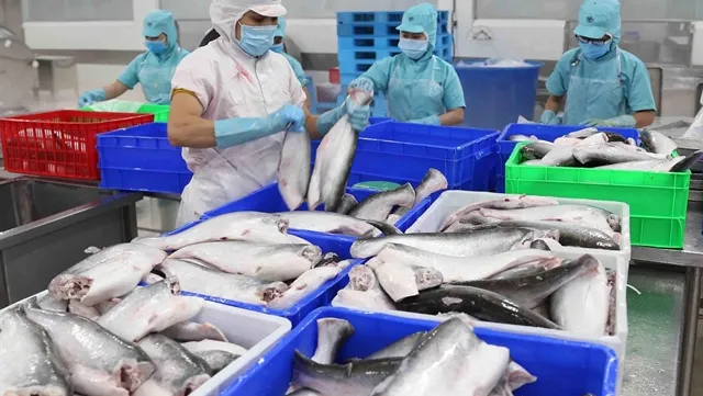 Việt Nam enjoys record trade value