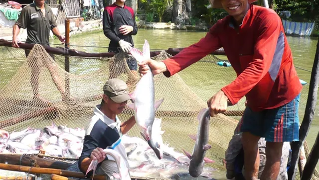 Fisheries sector to focus on standardising production next year for higher value