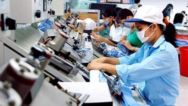 Việt Nam sees positive labour growth in 2019