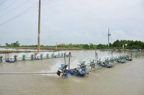 National programme helps Sóc Trăng sustainably exploit fisheries resources