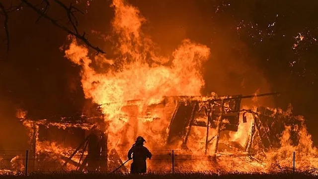 Eight Vietnamese killed in Moscow greenhouse fire: Russian official