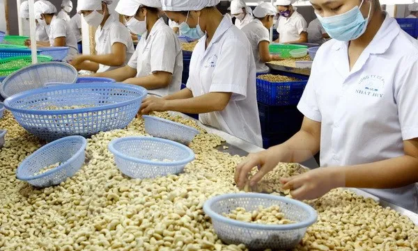 VN aims to become global agriculture powerhouse