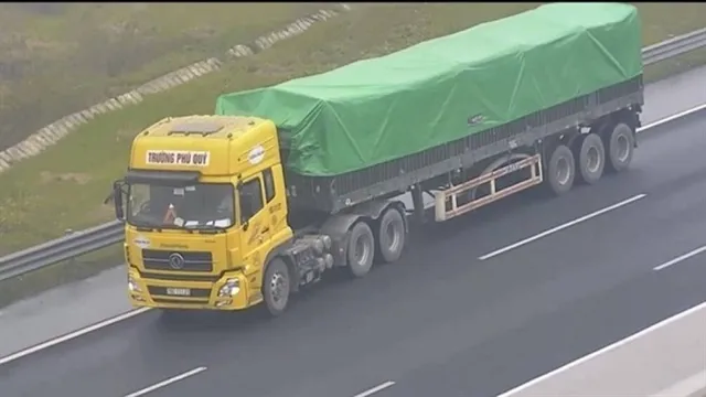 Driver fined for reversing on highway