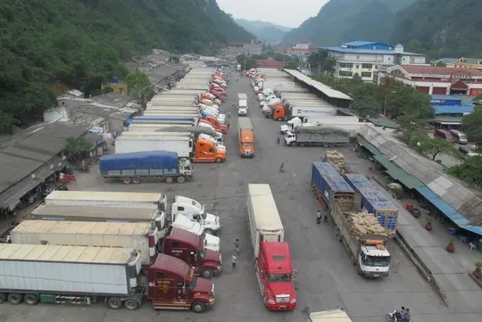 Coronavirus delays Việt Nam’s agricultural exports to China