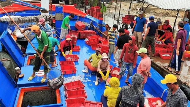 Quảng Nam fishermen receive abundant spring gifts from Paracels islands