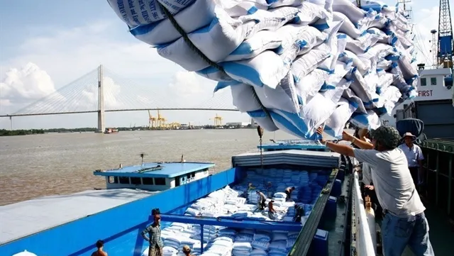 Việt Nam sees rice export growth in January