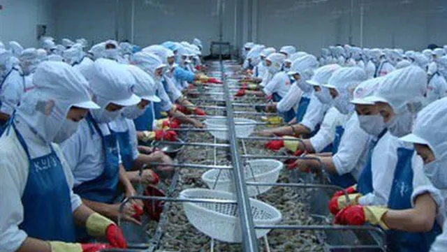 MoIT to talk with the US on Minh Phú tax evasion case