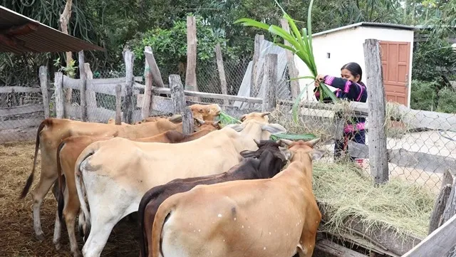 New way of thinking to promote development in mountainous regions