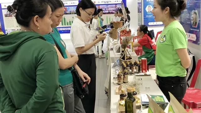 HCM City, a fertile land for start-ups