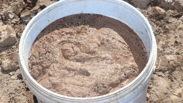 Sóc Trăng farmers reap bumper crop of crustacean eggs