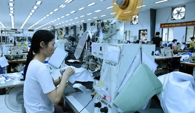 Newly-established firms up but capital down in two months