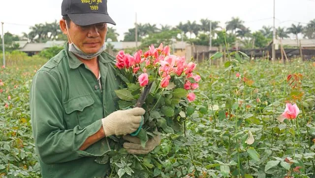 Covid-19 brings losses to flower growers