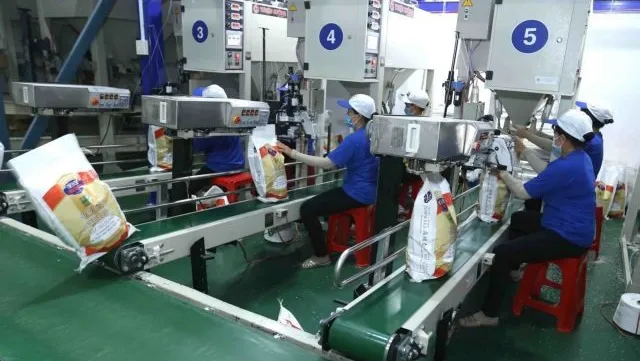 Việt Nam to achieve rice export target this year: insider