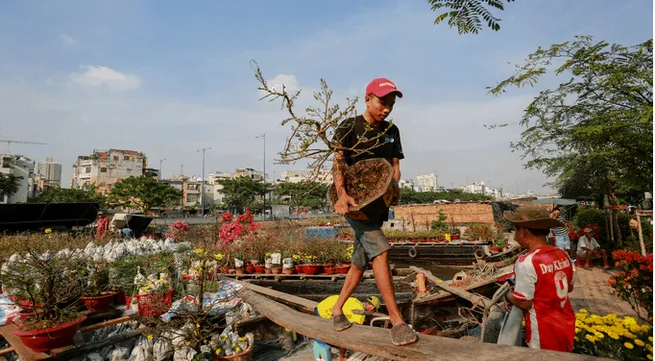 HCM City to host annual flower festival and markets during Tet