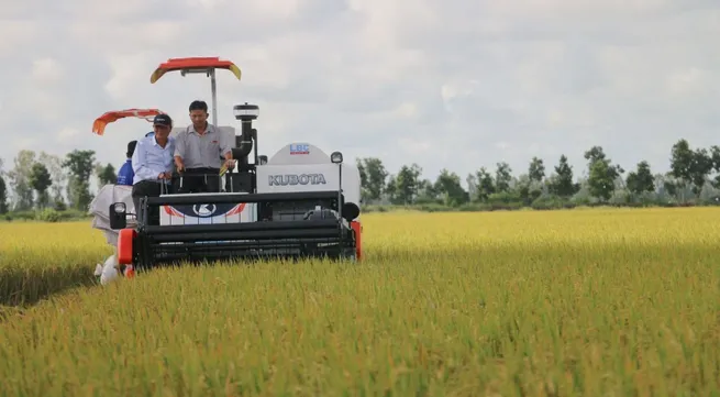 First batch of Vietnamese rice exported to UK under UKVFTA