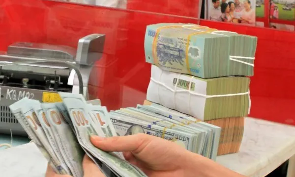 Reference exchange rate up 5 VND at week’s beginning