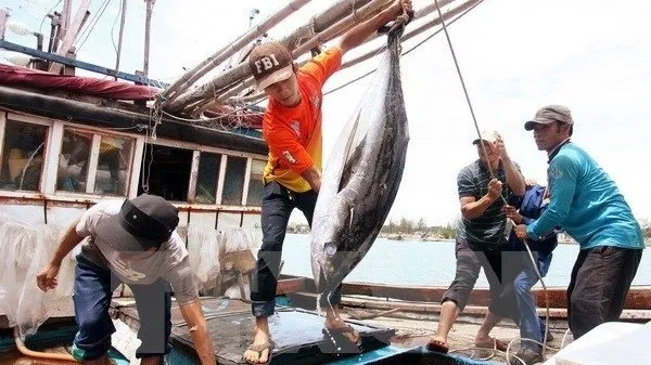 Output of aquatic products reaches over 8.4 million tonnes in 2020