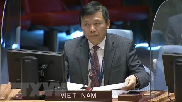 Vietnam calls for efforts in tackling illicit trade in small arms, light weapons