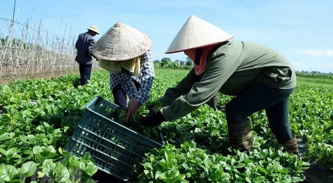 Cooperatives are essential to agricultural economy: Minister