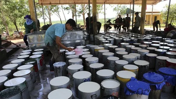 Vietnam’s rubber export to US sees sharp surge