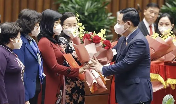 Vietnam Friendship Parliamentarians Organisation set up