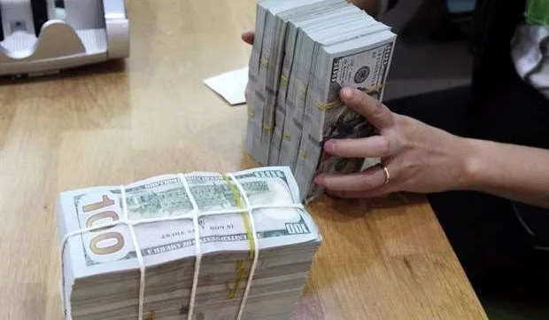 Reference exchange rate down 10 VND at week’s beginning