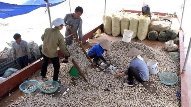 First container of canned clam meat exported to Europe