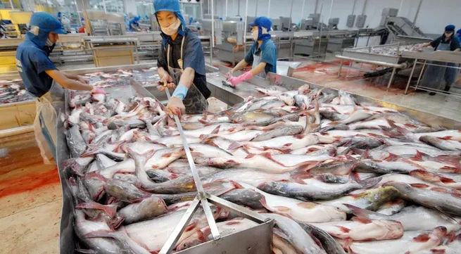 Tra fish exports forecast to grow well