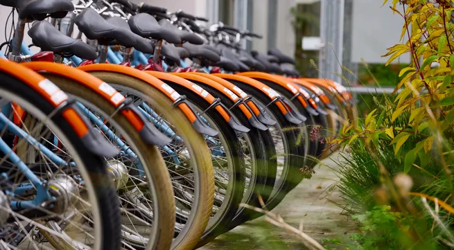 Booking.com launches first-of-its-kind travel sustainable badge